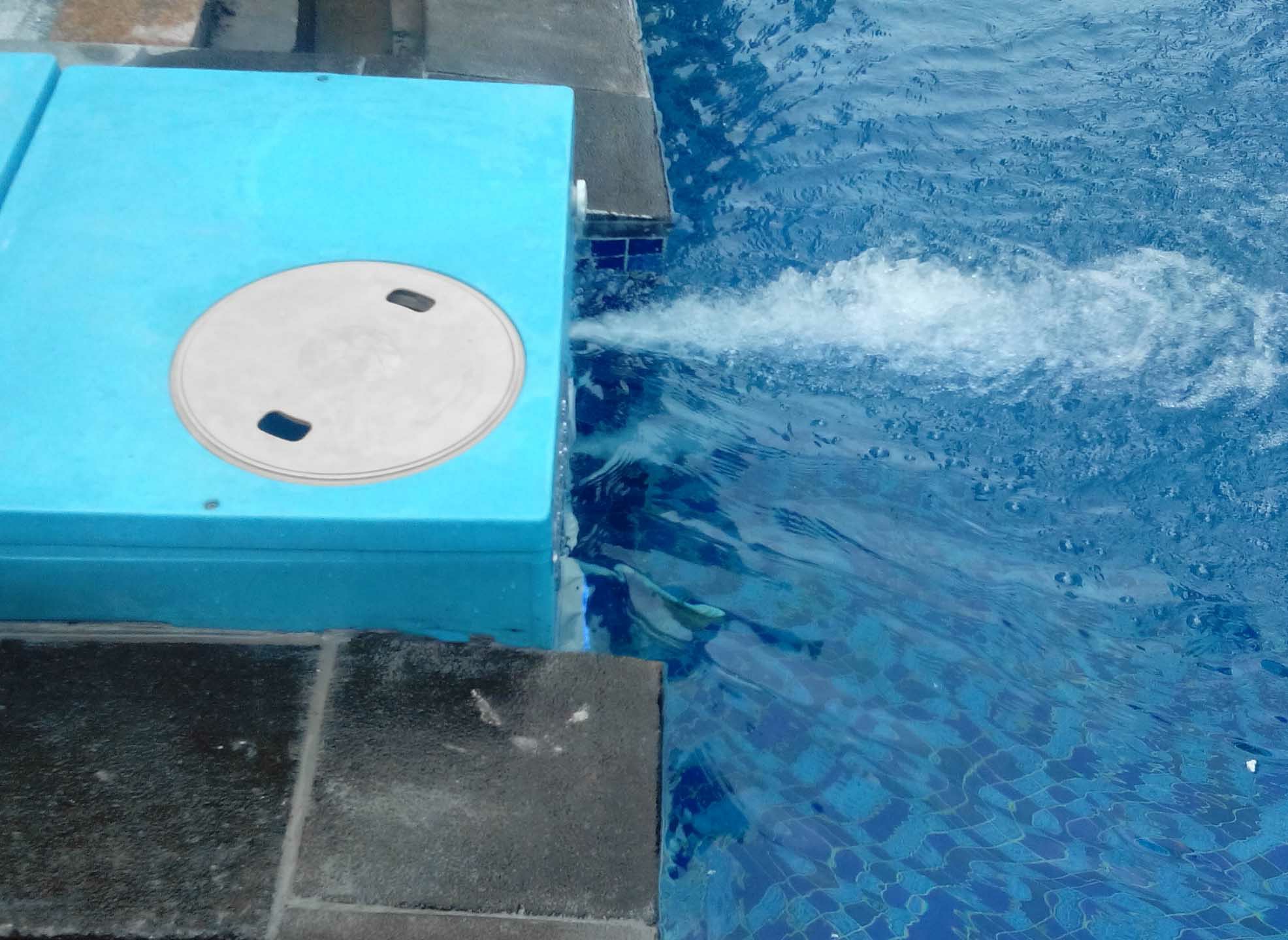 中山麗城樂意居S350/DF10泳池工程