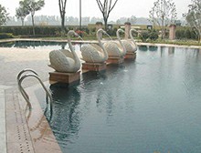 不同泳池設(shè)備之間竟然還有這些區(qū)別？