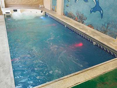 戴高樂(lè) 戴高樂(lè)