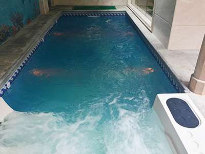 戴高樂(lè) 戴高樂(lè)